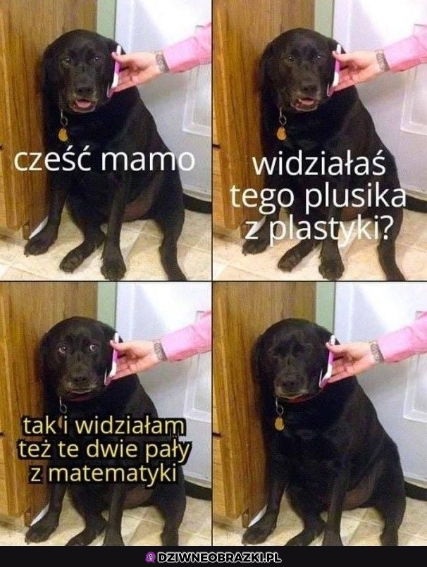 Kiedy mam dzwoni po zebraniu