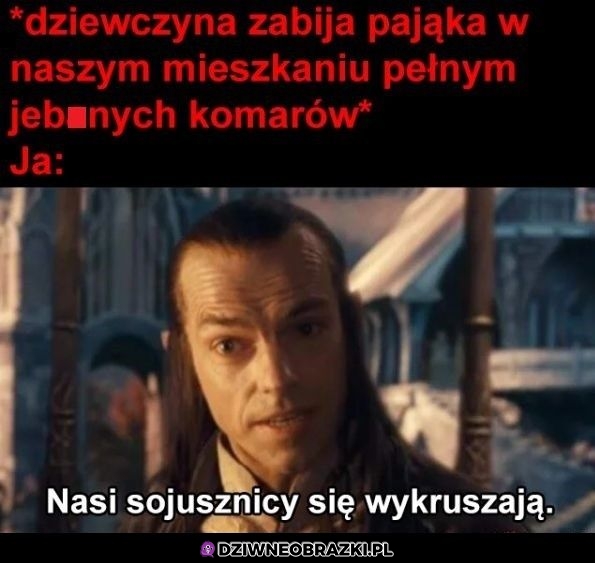 Ten moment