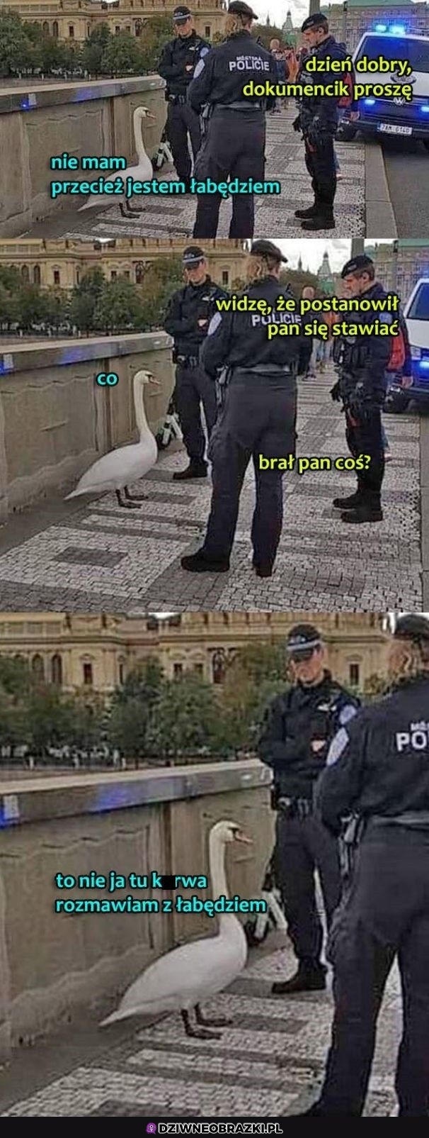 Dokumenciki proszę