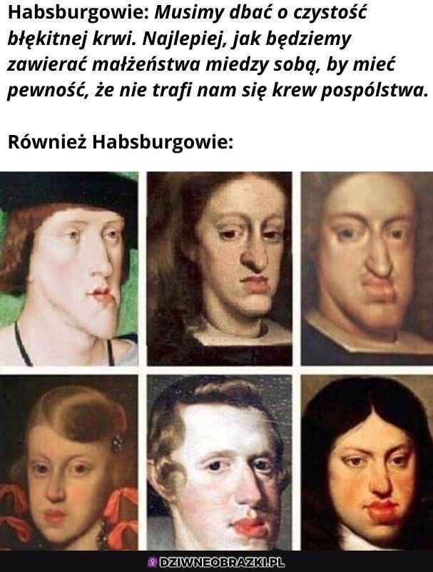 Habsburgowie