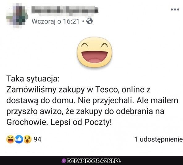 Ogarnęli
