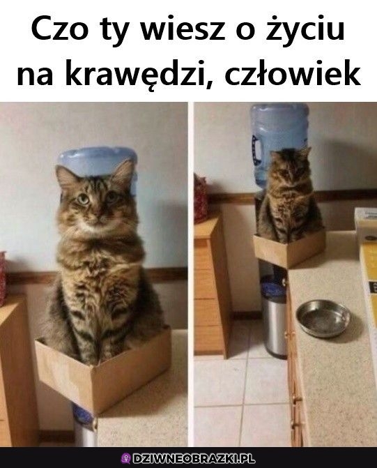 Właśnie