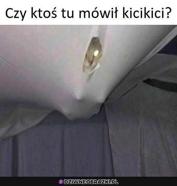 Wzywaliście?