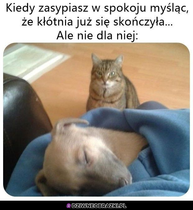 Będzie druga runda