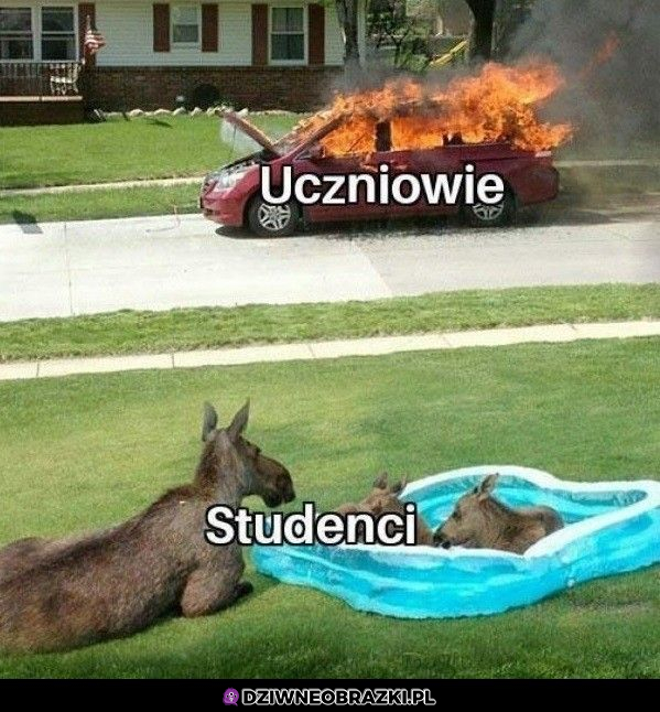 Zaraz też się zacznie