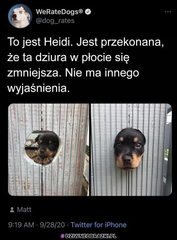 Na pewno tak jest