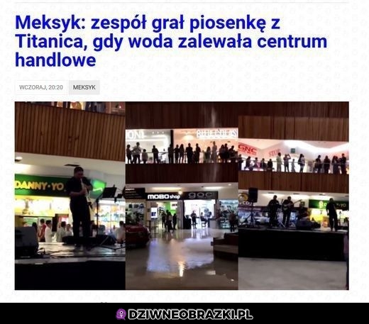 Prawidłowo