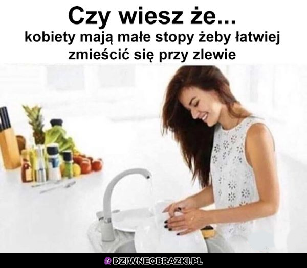 Ciekawostka
