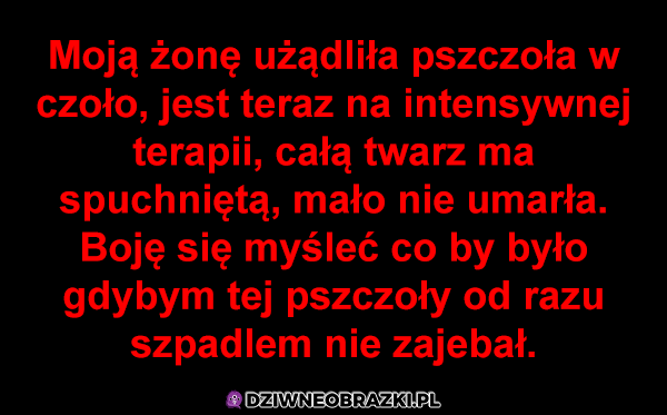 Pszczoła