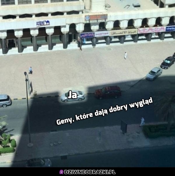Ja i geny