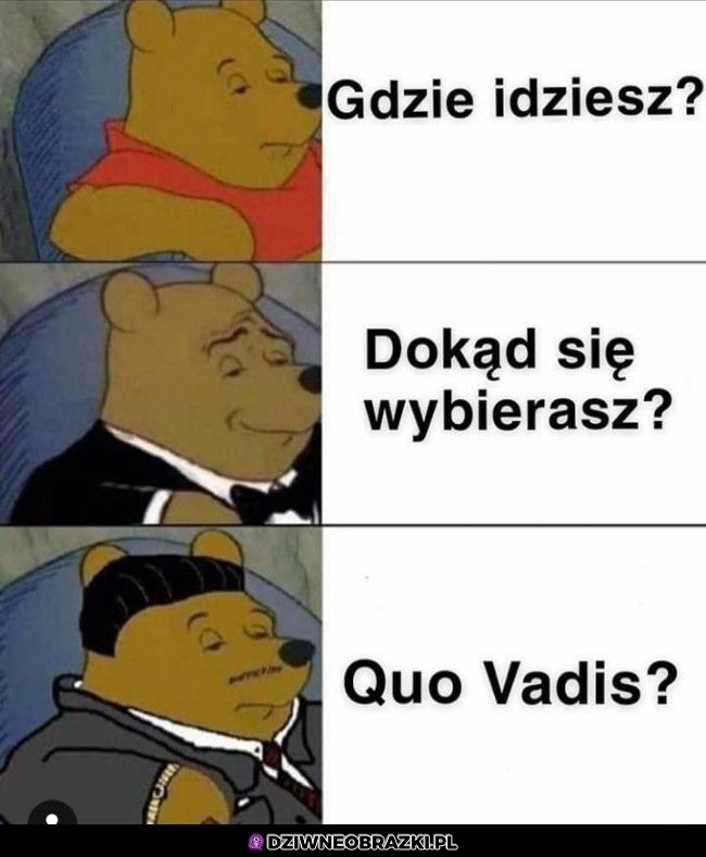 Gdzie idziesz?