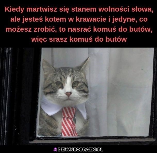 Ten moment