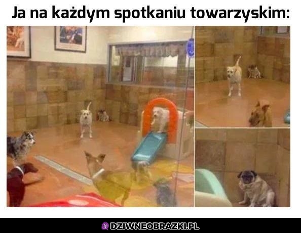 To ja