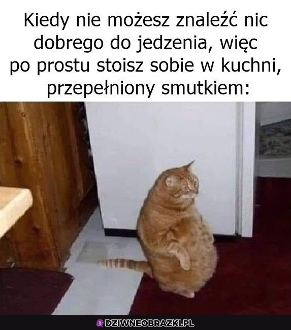 Ten moment Ten moment