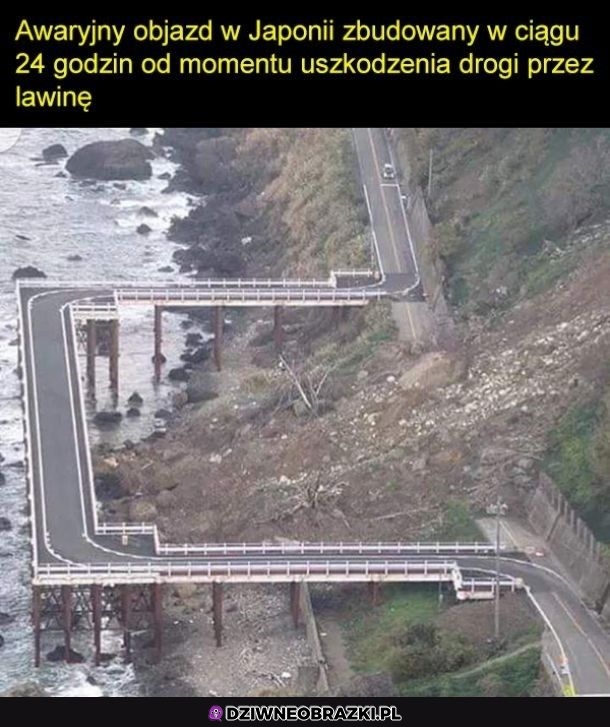 Mają ogarniecie