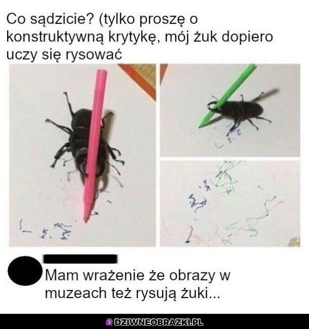 Dopiero się uczy