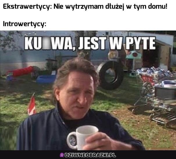 Dokładnie tak jest