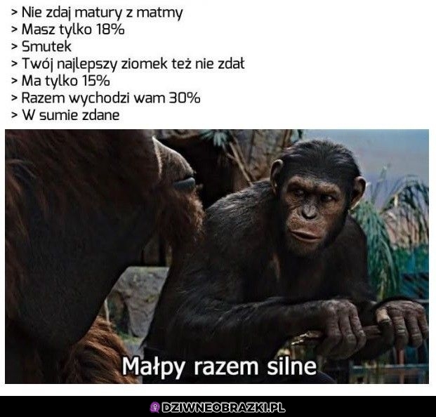 Matura z matmy