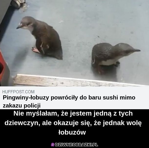 Jednak woli łobuzów