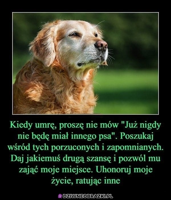 Pamiętaj
