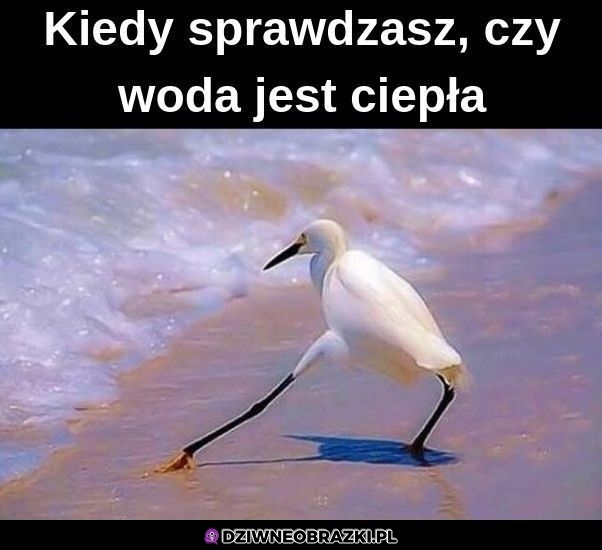Kiedy sprawdzasz wodę