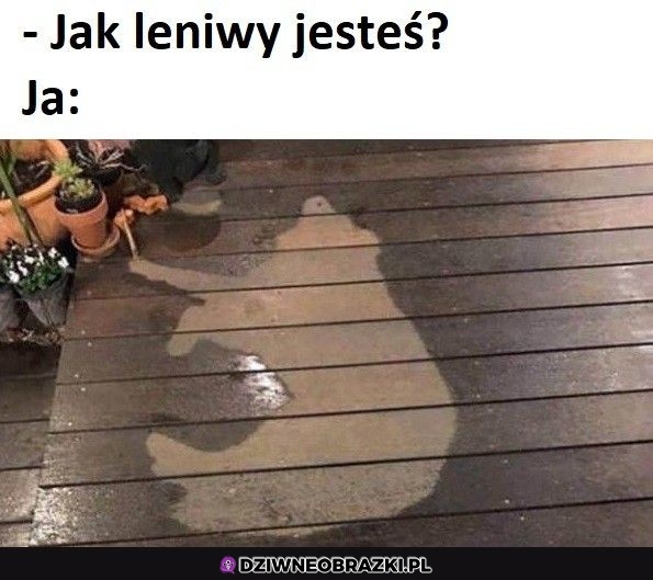 Tak bardzo