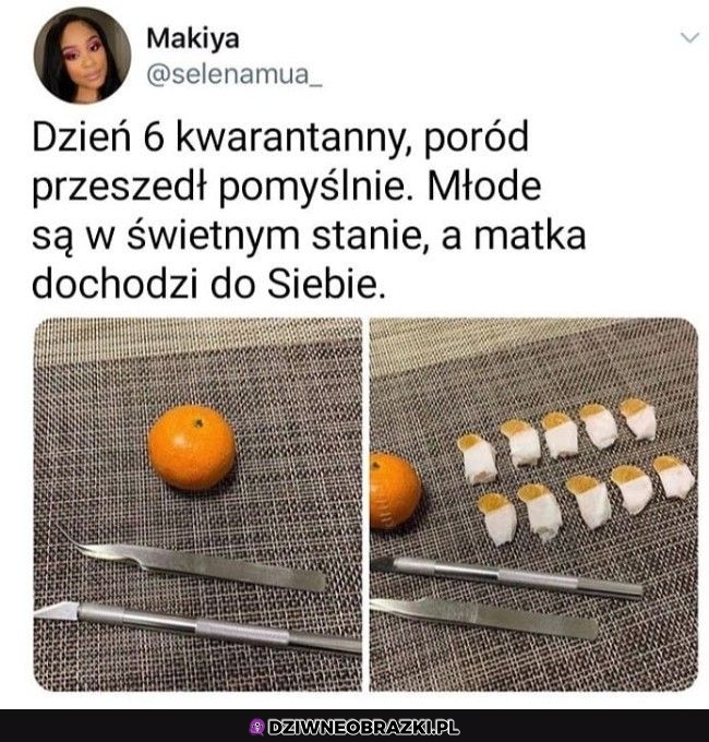 Trzeba ćwiczyć