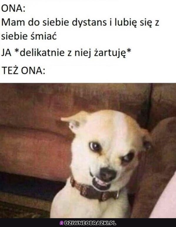 A jednak nie