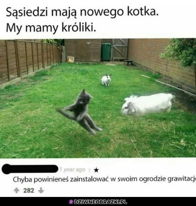 Czegoś tutaj brakuje