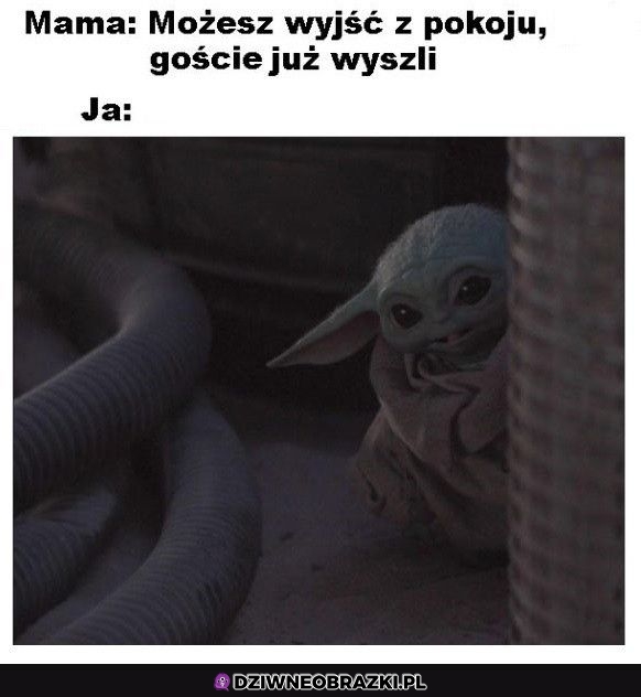 Możecie wyjść