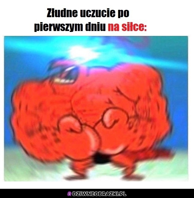 To uczucie