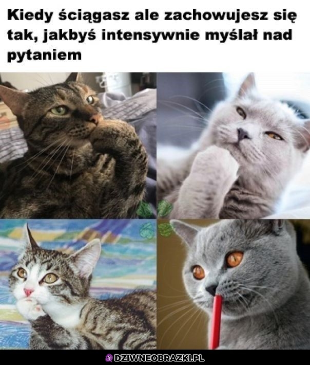 Ten moment