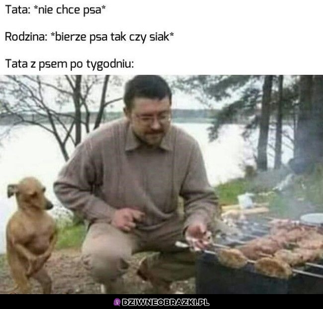 Tata i pieseł
