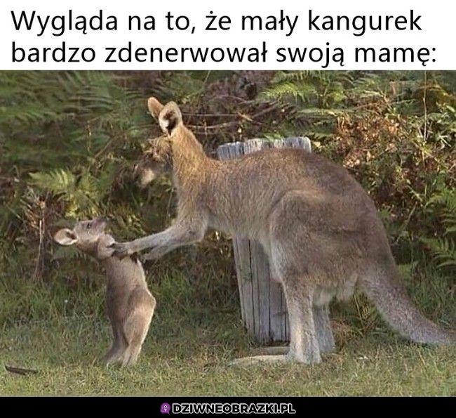 Chyba poważnie przeskrobał