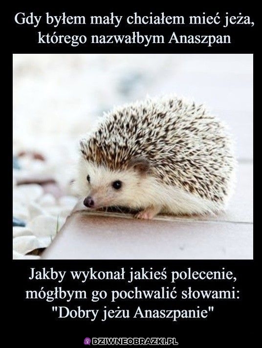 Anaszpan