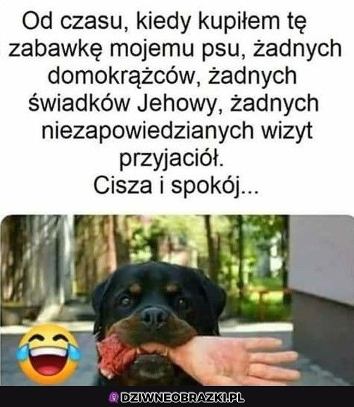 Najlepsza zabawka