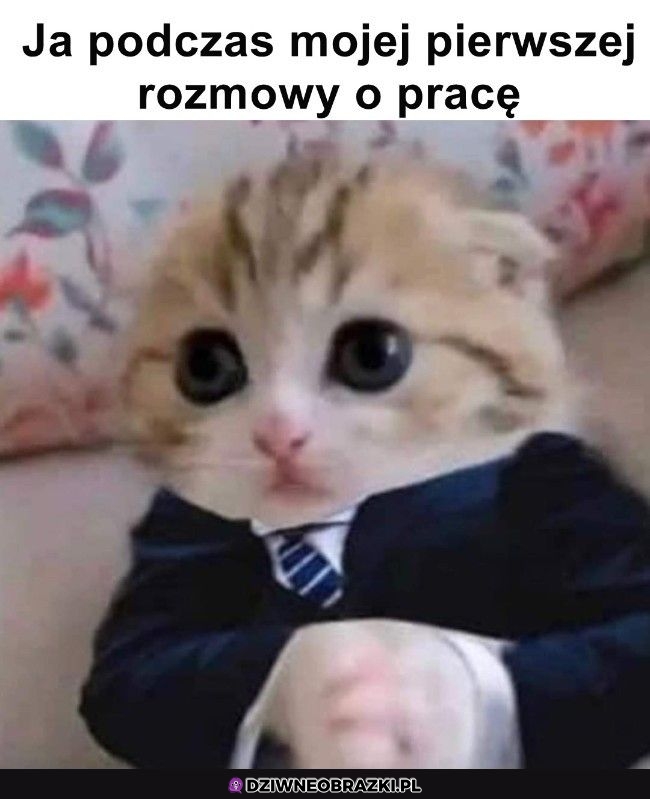 Tak było