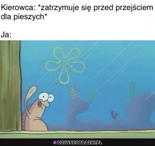 Dzięki ziomek