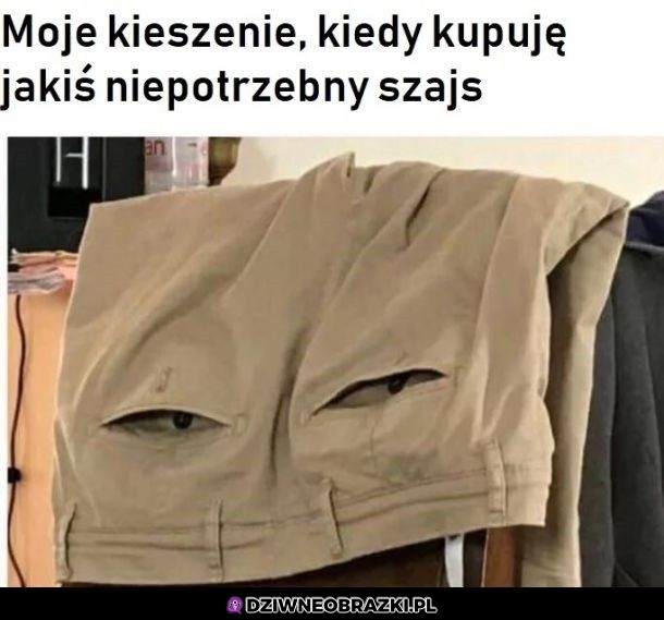 Widzą to
