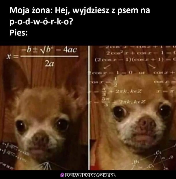 Podwórko?