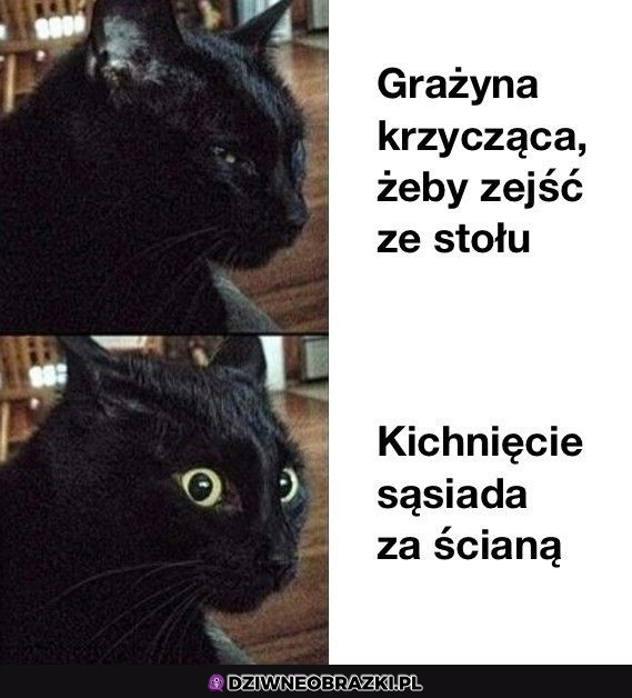 Kiedy sąsiad kicha