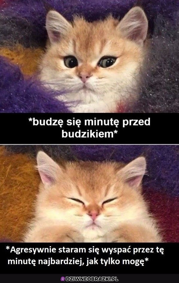 Najważniejsza minutka