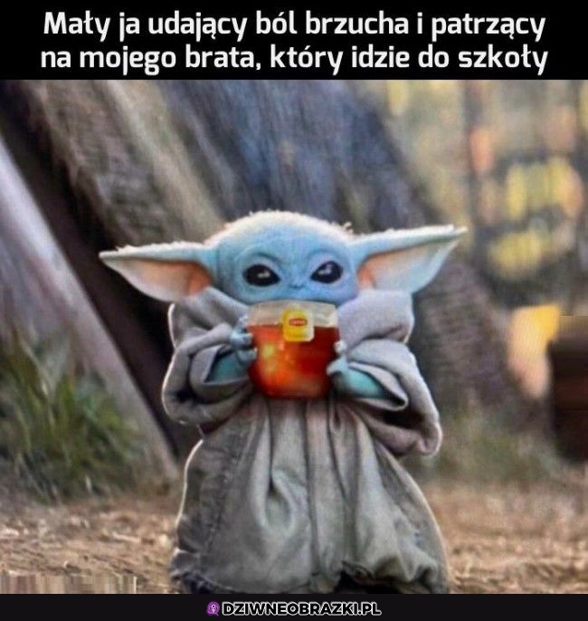 Tak było