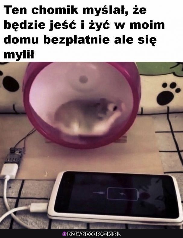 c575592523e093c842394905cb4269da.jpg