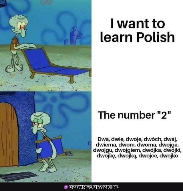Powodzenia
