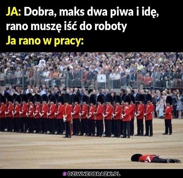 Poranek w pracy