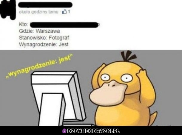 Wynagrodzenie