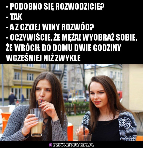 Czyja wina?