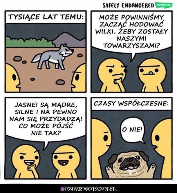 Ale to zje*aliśmy
