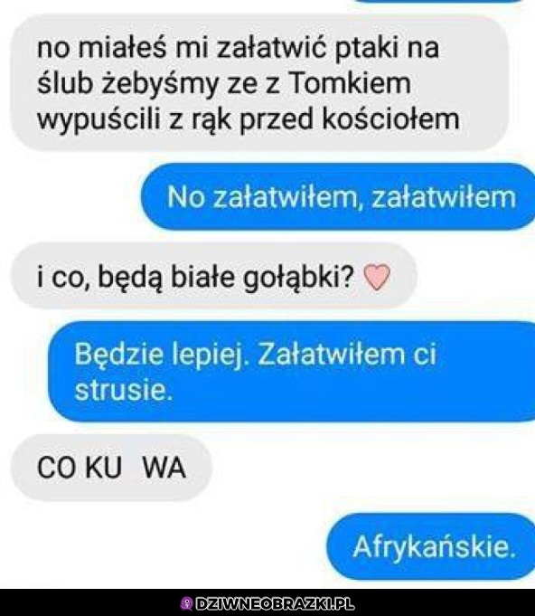 Kiedy twój najlepszy kumpel ogarnia twój ślub